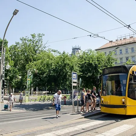 Auberge de jeunesse Goodmo House